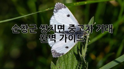 순창군 쌍치면 중고차 거래 완벽 가이드 🚗💨