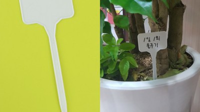 🌳 득템 찬스! 수목표찰 할인 & 솔직 후기 🌿